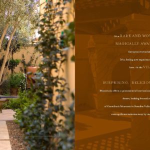 A tranquil garden pathway, captured in our latest print copywriting masterpiece, leads to a sculptural fountain surrounded by lush greenery and warm-toned walls.